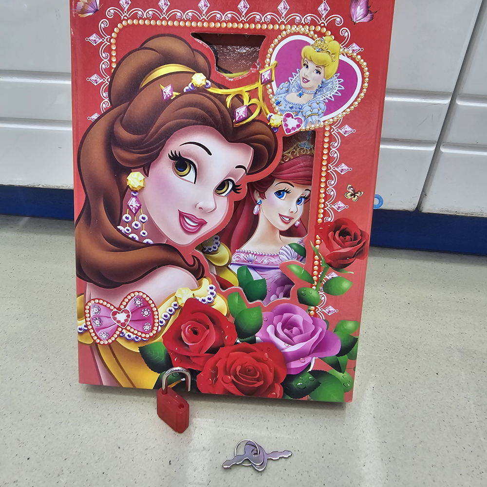 DIARIES-GIRL-1.jpg Disney Princess Lockable Diary for Girls - Image 1